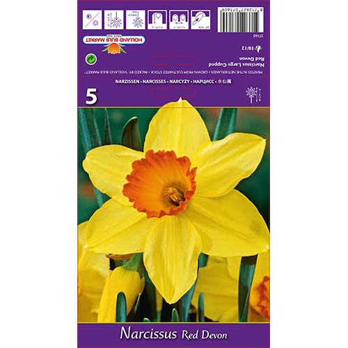 Sunovrat Red Devon slika 1 interface.art 67659