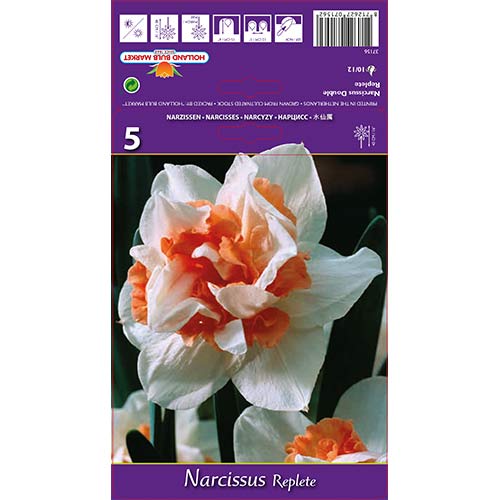 Sunovrat Replete slika 1 interface.art 68071