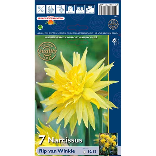 Sunovrat Rip van Winkle slika 1 interface.art 67660