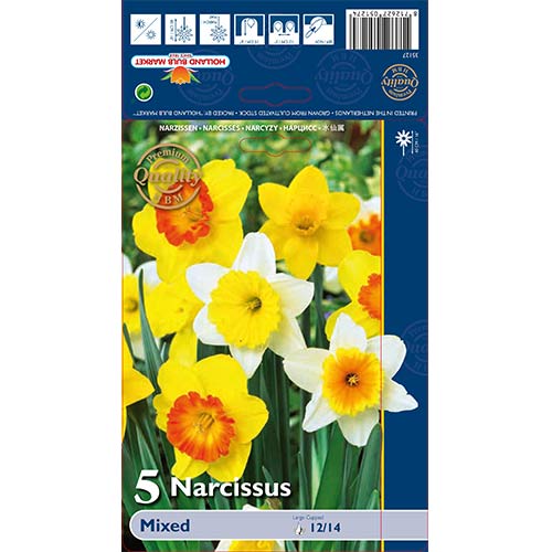 Sunovrat Trumpet Mixed slika 1 interface.art 67665