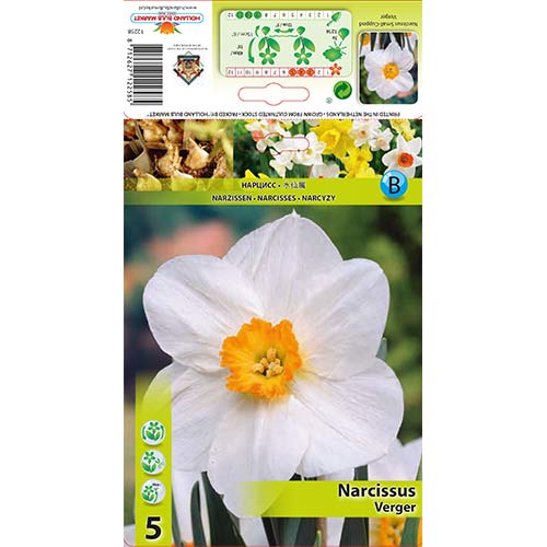 Sunovrat Verger slika 1 interface.art 70279