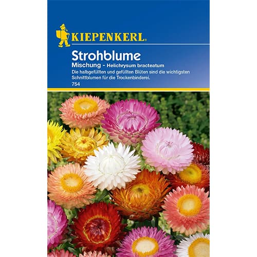 Suva ruža, višebojna mješavina slika 1 interface.art 77408