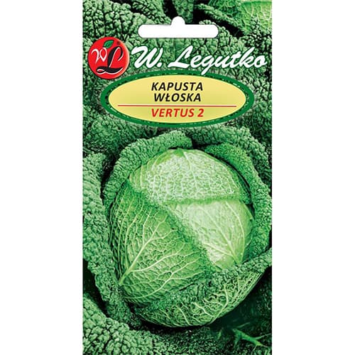 Taljanski kupus Vertus interface.art interface.photo 1 Taljanski kupus Vertus slika 1 interface.art 78476