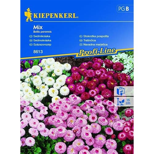 Tratičnica Double, višebojna mješavina slika 1 interface.art 86255