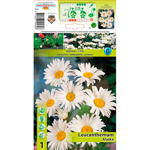 Tratinčica Aljaska slika 1 interface.art 76612