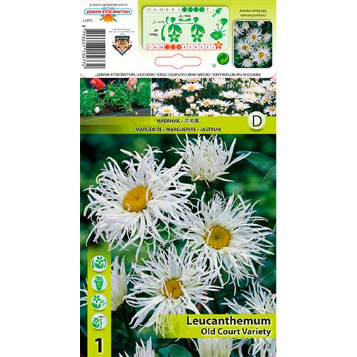 Tratičnica Old Court Variety slika 1 interface.art 76613