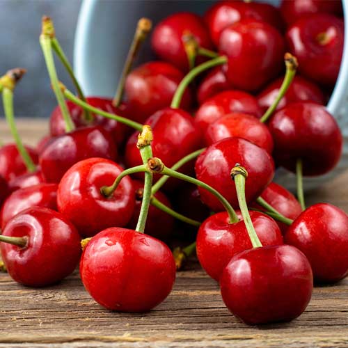 Trešnja Lydia, С2 slika 1 interface.art 7967