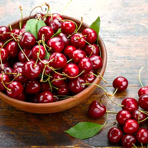 Trešnja Sabrina slika 1 interface.art 6926