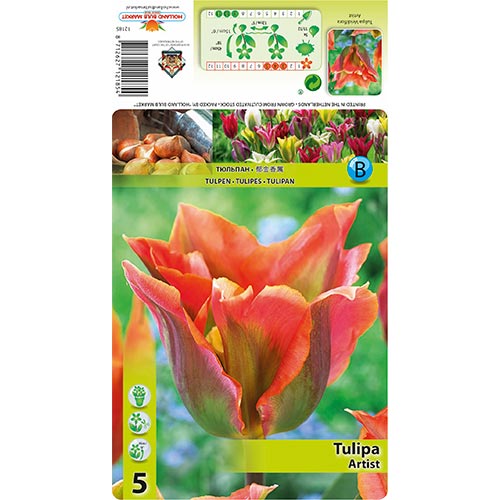 Tulipan Artist slika 1 interface.art 68401