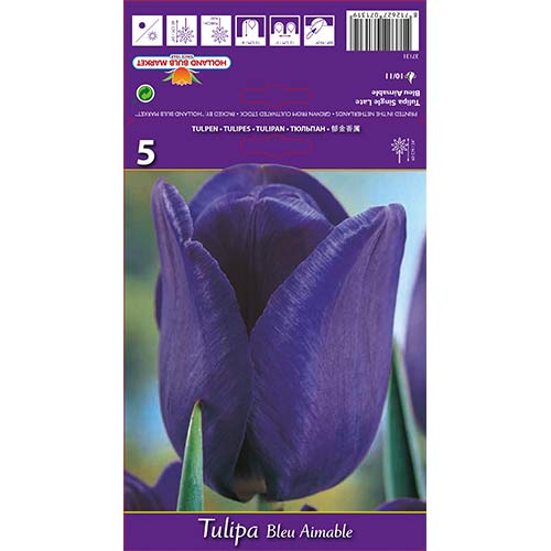 Tulipan Blue Amaible slika 1 interface.art 67705