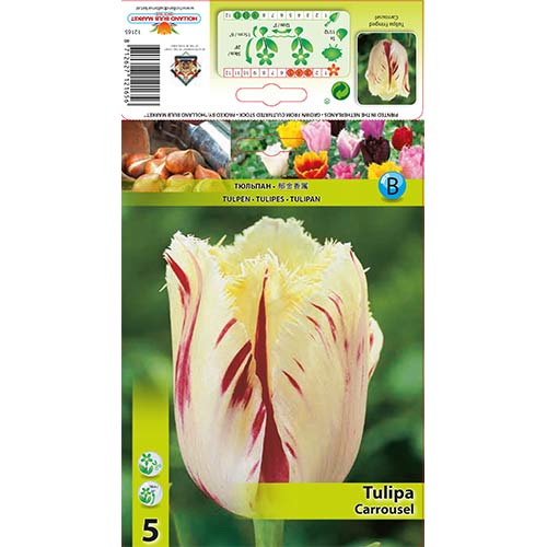 Tulipan Carrousel slika 1 interface.art 70298