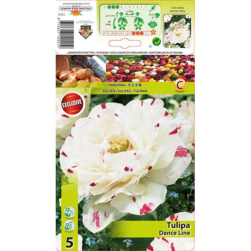 Tulipan Dance Line slika 1 interface.art 67457