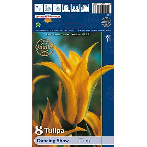 Tulipan Dancing Show slika 1 interface.art 67513
