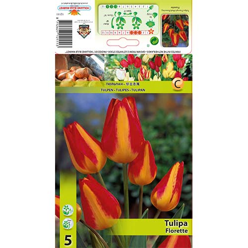 Tulipan Florette slika 1 interface.art 70305