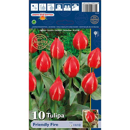 Tulipan Friendly Fire slika 1 interface.art 70264