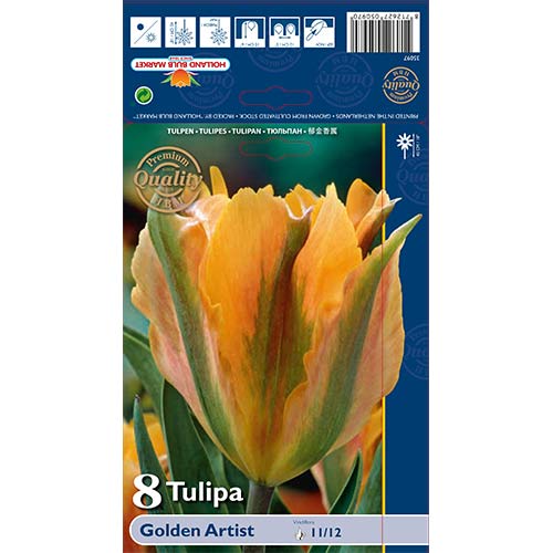 Tulipan Golden Artist slika 1 interface.art 68032