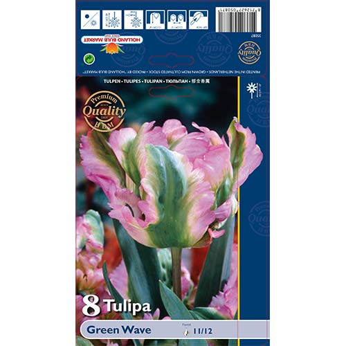 Tulipan Green Wave slika 1 interface.art 67720
