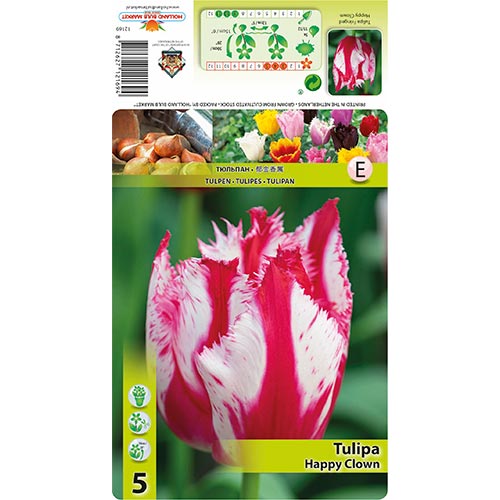 Tulipan Happy Clown slika 1 interface.art 68398