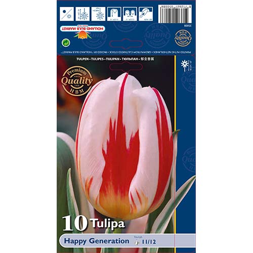 Tulipan Happy Generation slika 1 interface.art 68049