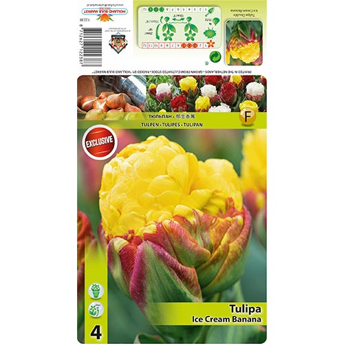 Tulipan Ice Cream Banana slika 1 interface.art 68402