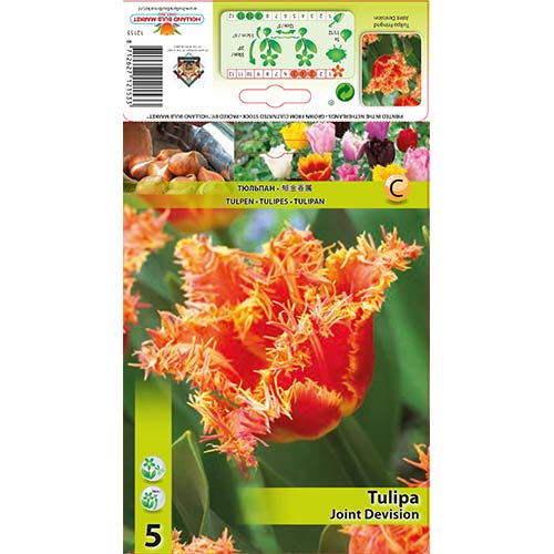 Tulipan Joint Devision slika 1 interface.art 70290