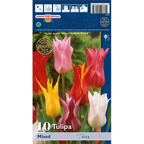 Tulipan Lilyflowering Mixed slika 1 interface.art 67761