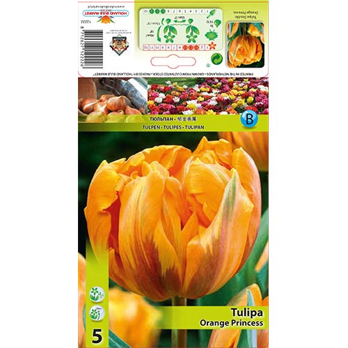 Tulipan Orange Princess slika 1 interface.art 67781