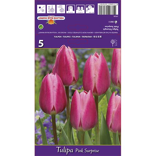 Tulipan Pink Surprise slika 1 interface.art 67795