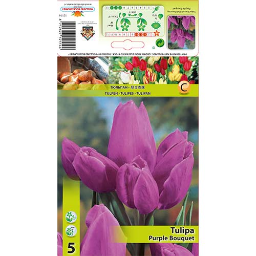 Tulipan Purple Bouquet slika 1 interface.art 67809