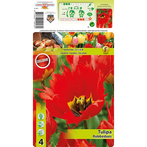 Tulipan Robbedoes slika 1 interface.art 68399