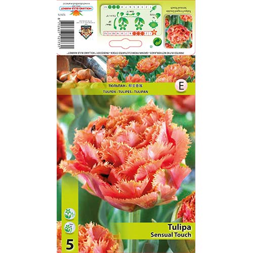 Tulipan Sensual Touch slika 1 interface.art 67831