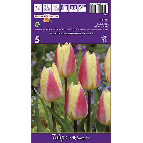 Tulipan Silk Surprise slika 1 interface.art 68117