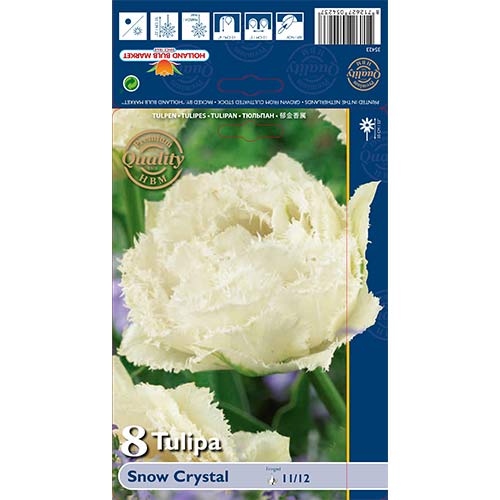 Tulipan Snow Crystal slika 1 interface.art 67833