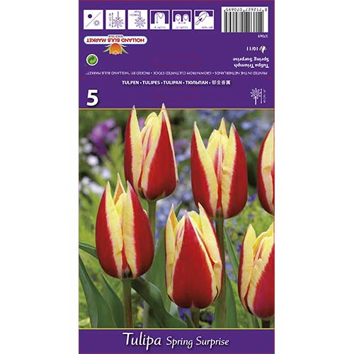 Tulipan Spring Surprise slika 1 interface.art 68112