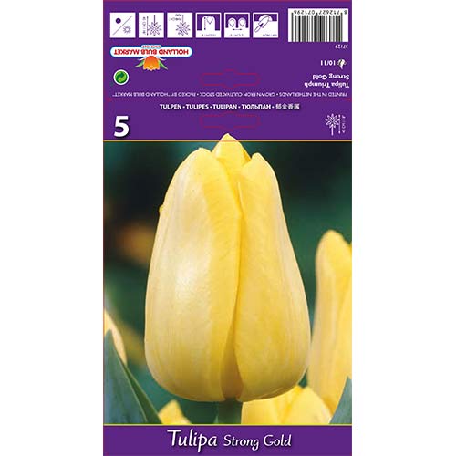 Tulipan Stronggold slika 1 interface.art 70220