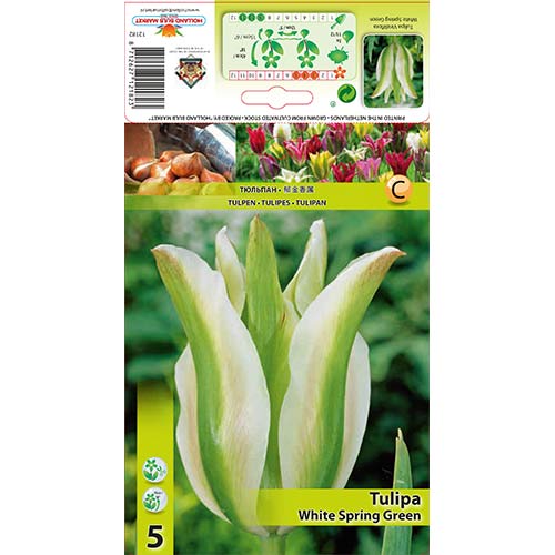Tulipan White Spring Green slika 1 interface.art 67850