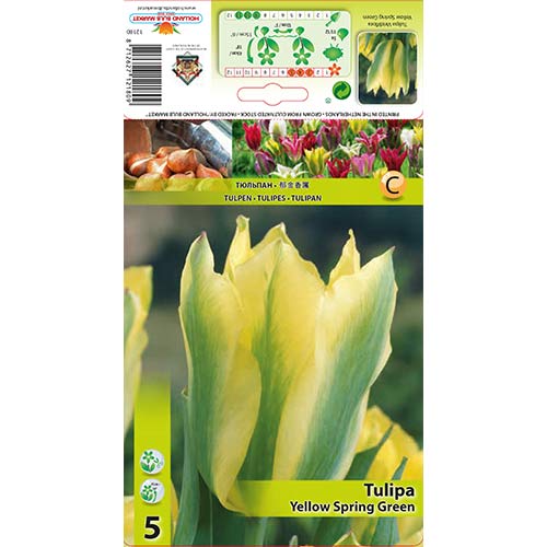Tulipan Yellow Spring Green slika 1 interface.art 67735