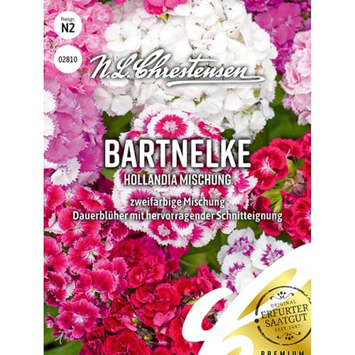 Turski karanfil Hollandia mix multicorlor slika 1 interface.art 86123