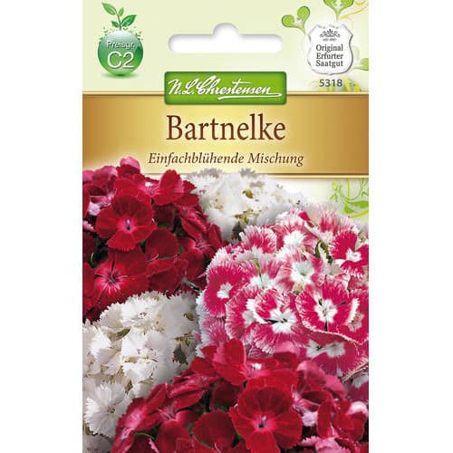 Turski karanfil, mix multicolor slika 1 interface.art 78955