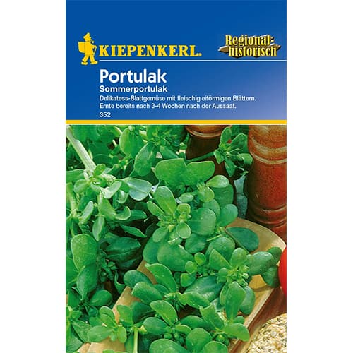 Tušt (Portulak) slika 1 interface.art 77412