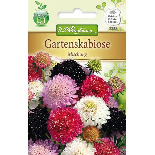 Udovčica (Scabiosa), mix multicolor interface.art interface.photo 1 Udovčica (Scabiosa), mix multicolor slika 1 interface.art 78936
