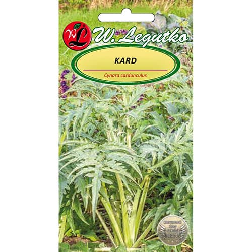 Ukrasna artičoka slika 1 interface.art 96809