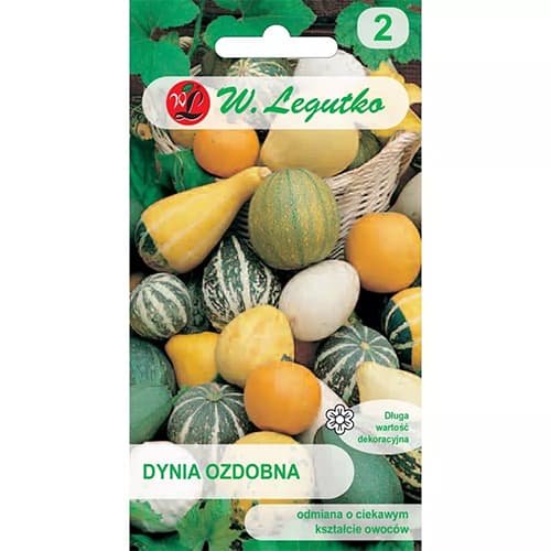 Ukrasna bundeva, višebojna mješavina slika 1 interface.art 69584