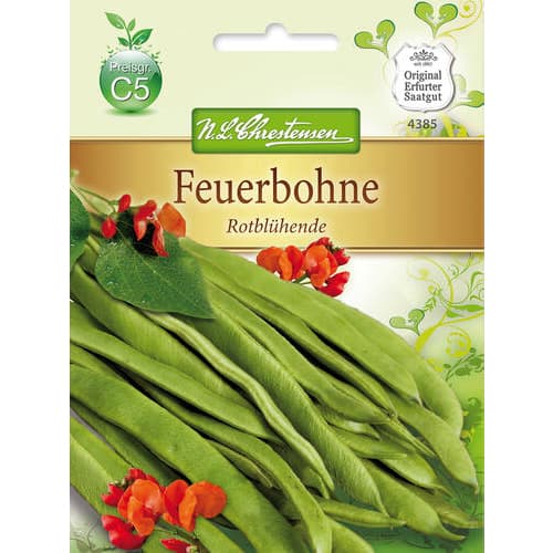 Ukrasni grah Rotbluhende slika 1 interface.art 78829