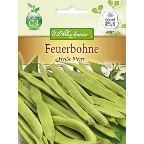 Ukrasni grah White Giant slika 1 interface.art 78830