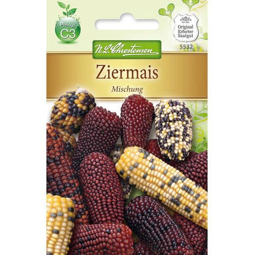 Ukrasni kukuruz, multicolor mix slika 1 interface.art 78981