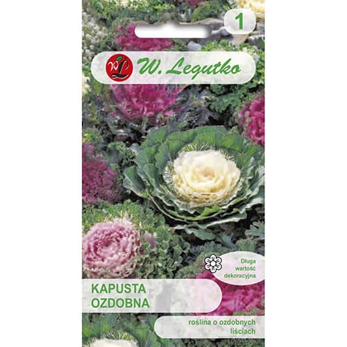 Ukrasni kupus, višebojna mješavina slika 1 interface.art 69596