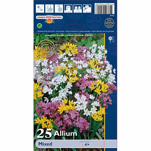 Ukrasni luk (Allium) mix multicolor slika 1 interface.art 67298