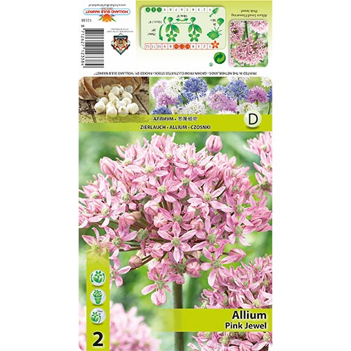 Ukrasni luk (Allium) Pink Jewel slika 1 interface.art 67300
