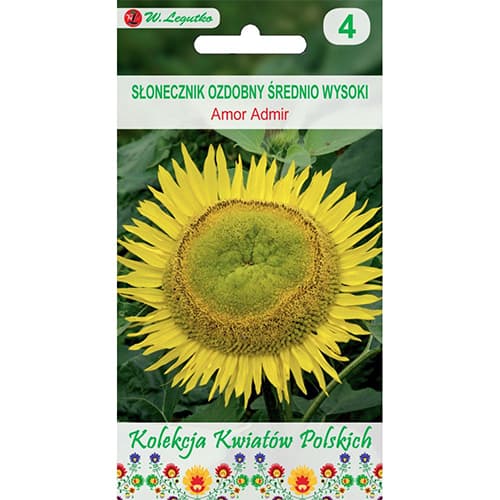 Ukrasni suncokret Amor Admir slika 1 interface.art 86732